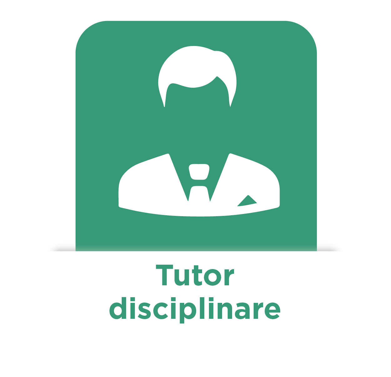 Tutor disciplinare