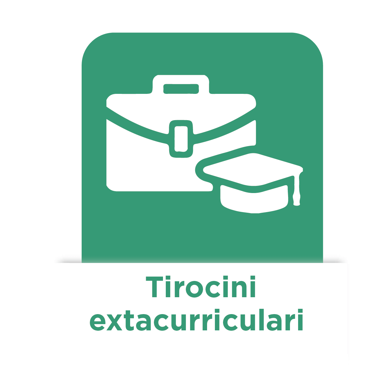 Tirocini extracurriculari
