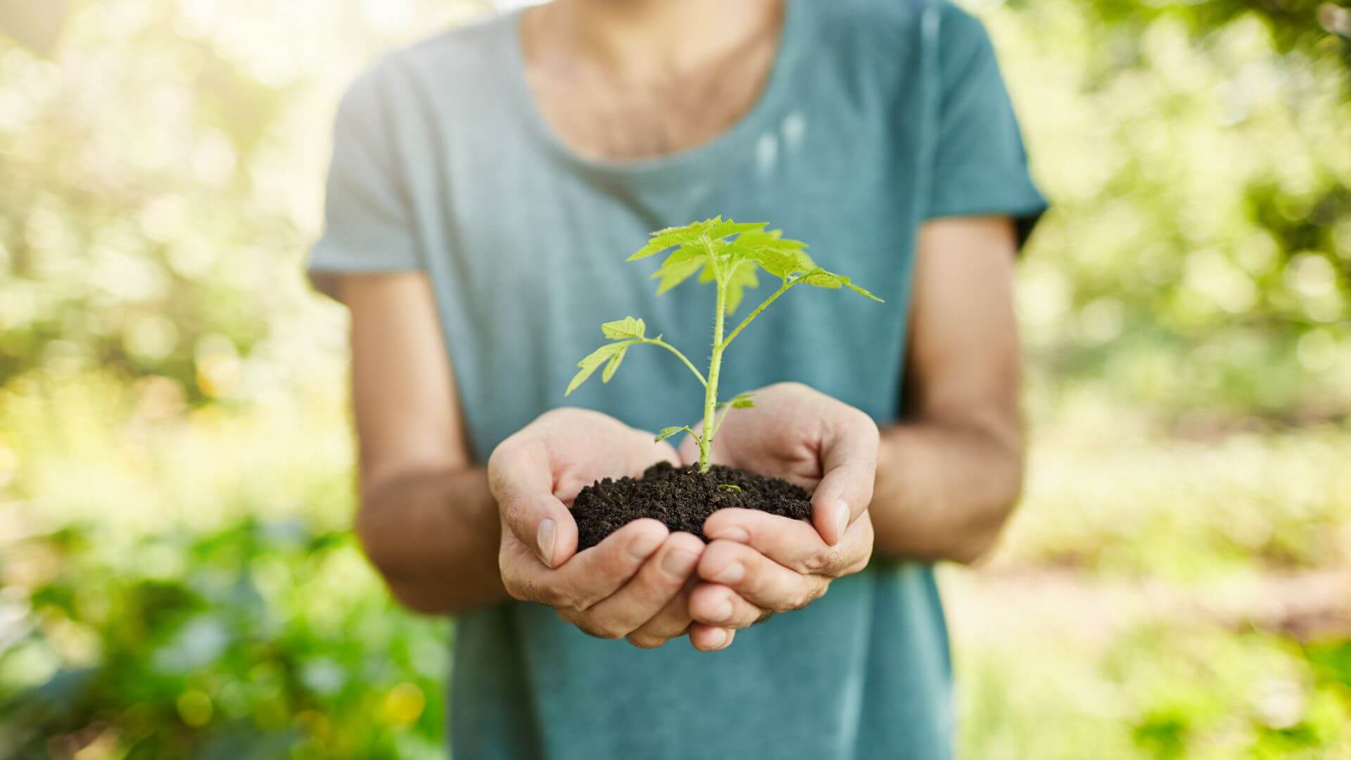 Uniti per il verde: il nostro impegno continua con il progetto ReTree
