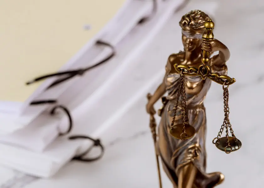 Teoria e Metodologia del Diritto (TMD)