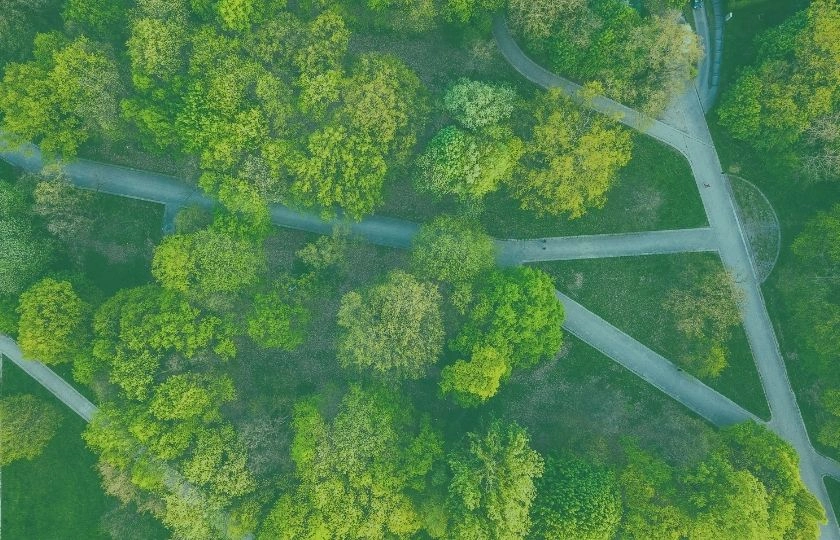immagine di alberi e strade ripresa dall'alto